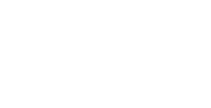 Ved Investment