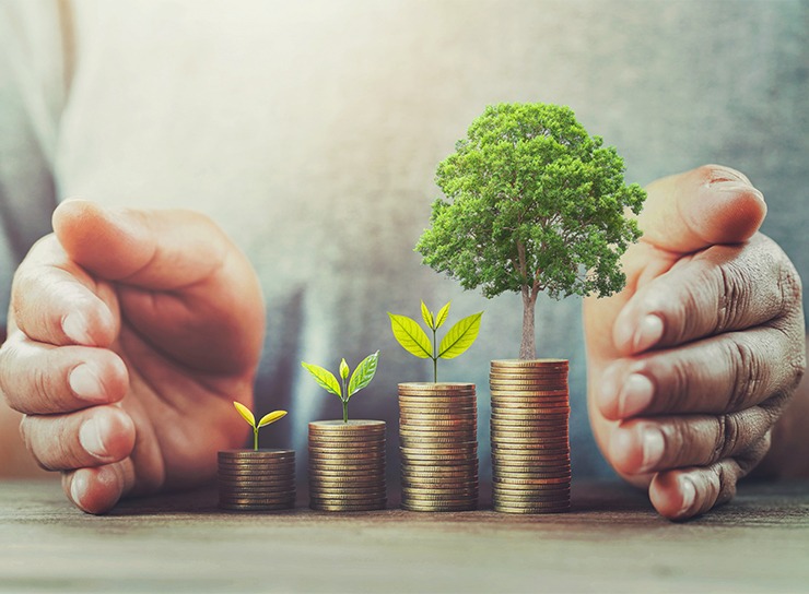Mutual Fund
