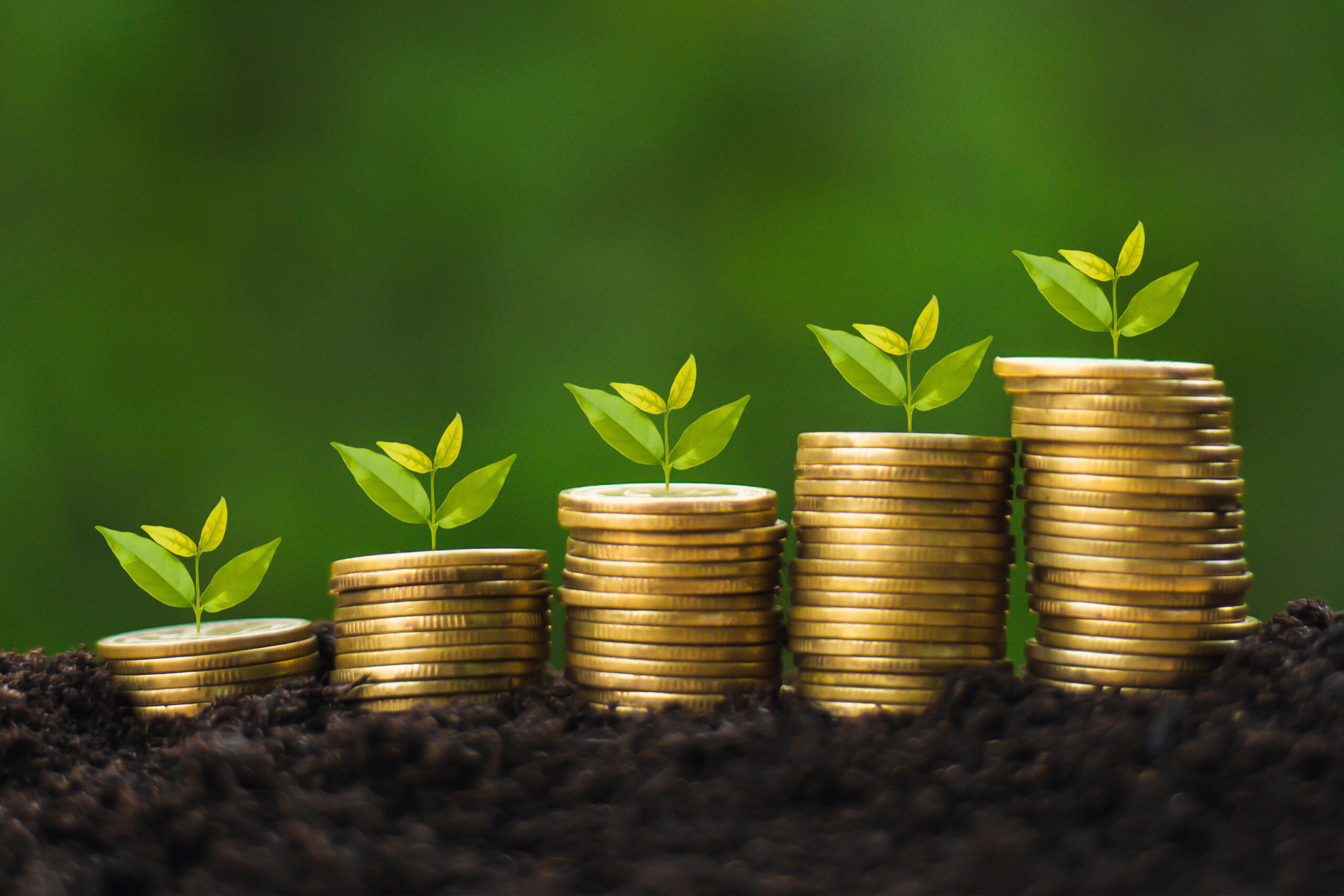 Mutual Funds